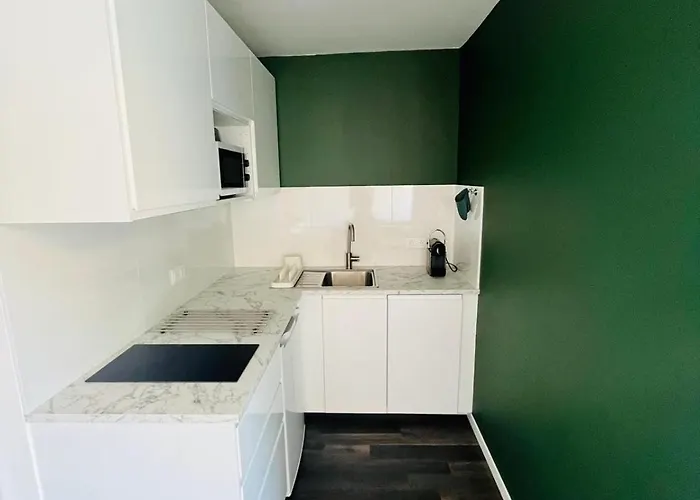 Apartment Le Voltaire, Joli Studio, Proximite De La Gare Et Du Centre, Climatise *
