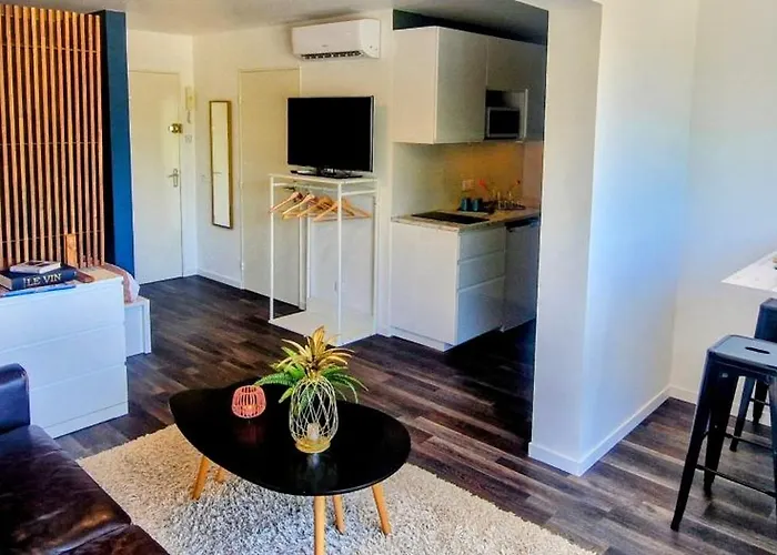 Apartmán Le Voltaire, Joli Studio, Proximite De La Gare Et Du Centre, Climatise